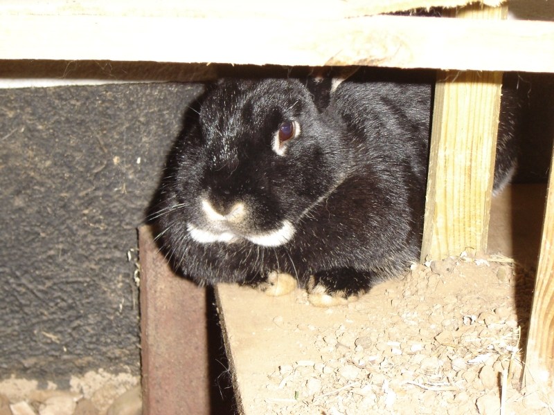DSC01926.JPG