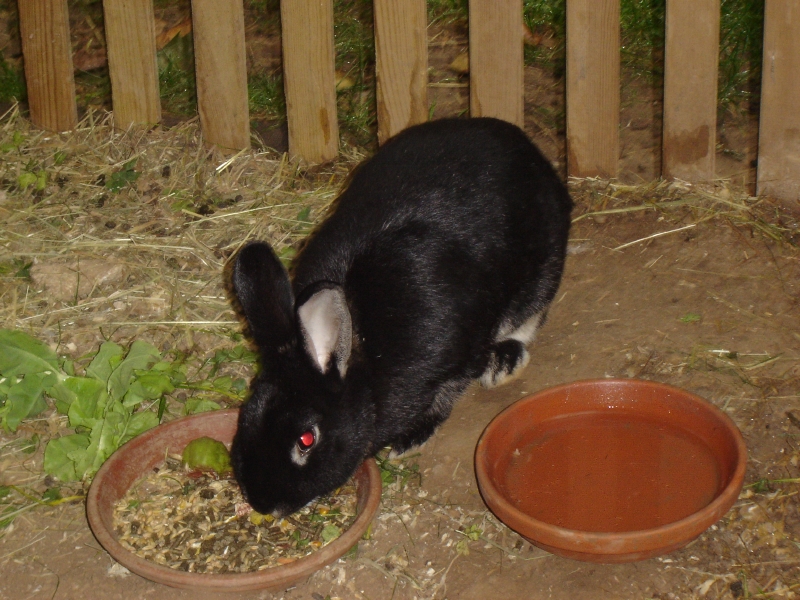 DSC01948.JPG