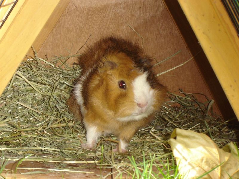 DSC01958.JPG