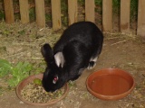 DSC01948.JPG